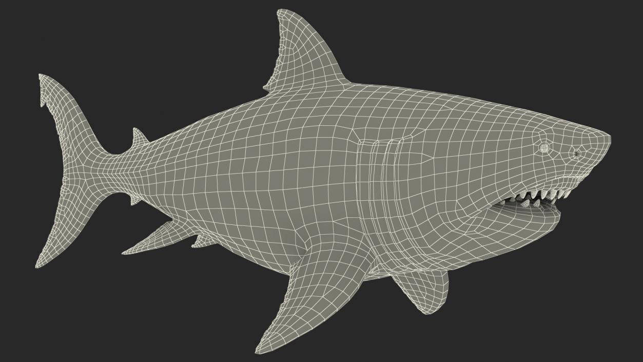 3D Megalodon Swimming Pose model