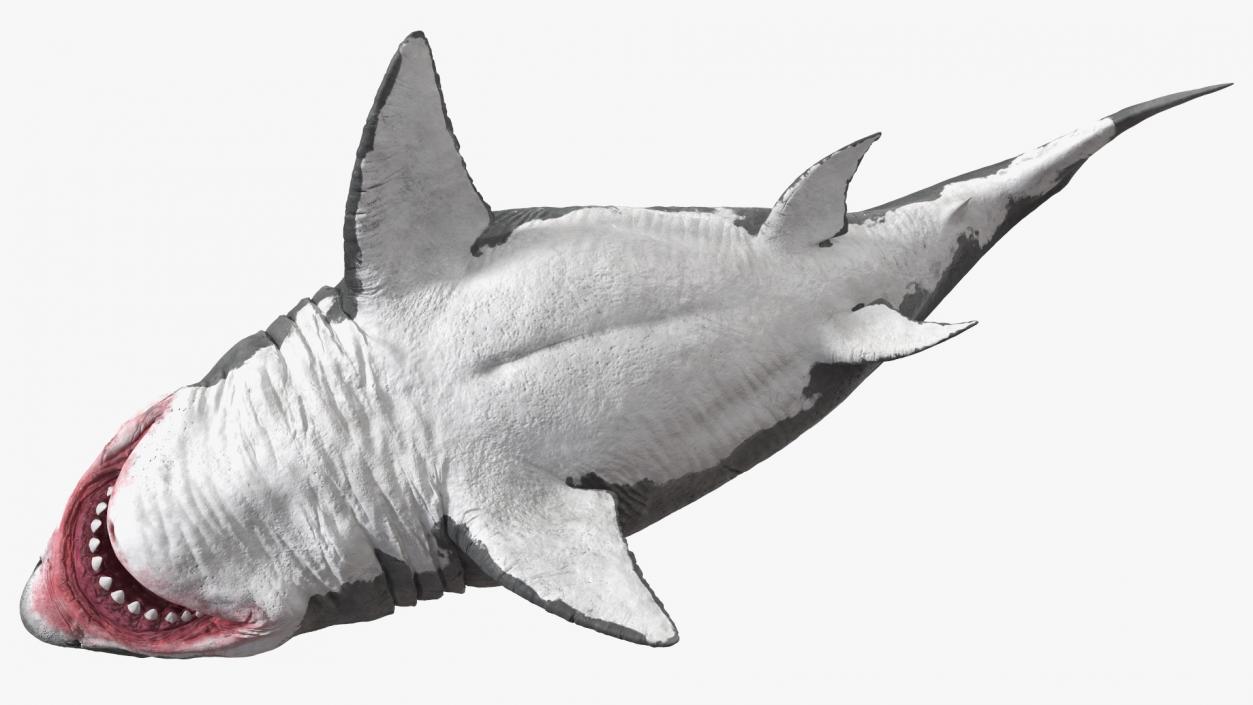 3D Megalodon Swimming Pose model