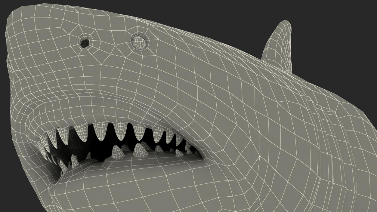 3D Megalodon Swimming Pose model