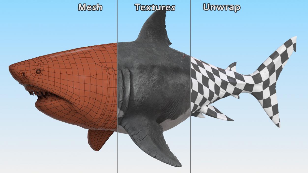 3D Megalodon Swimming Pose model