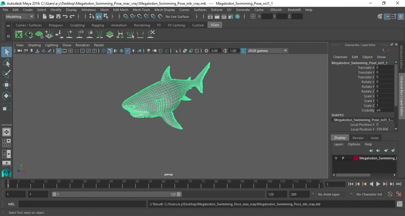 3D Megalodon Swimming Pose model