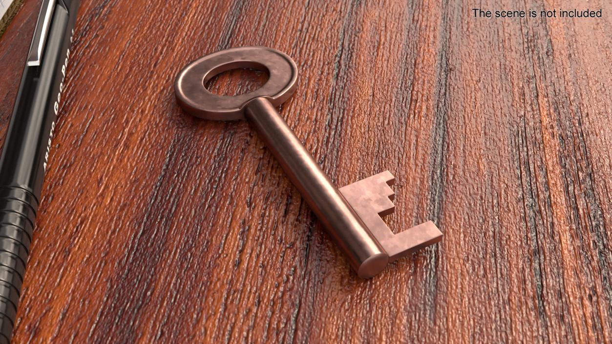 Bronze Key 2 3D