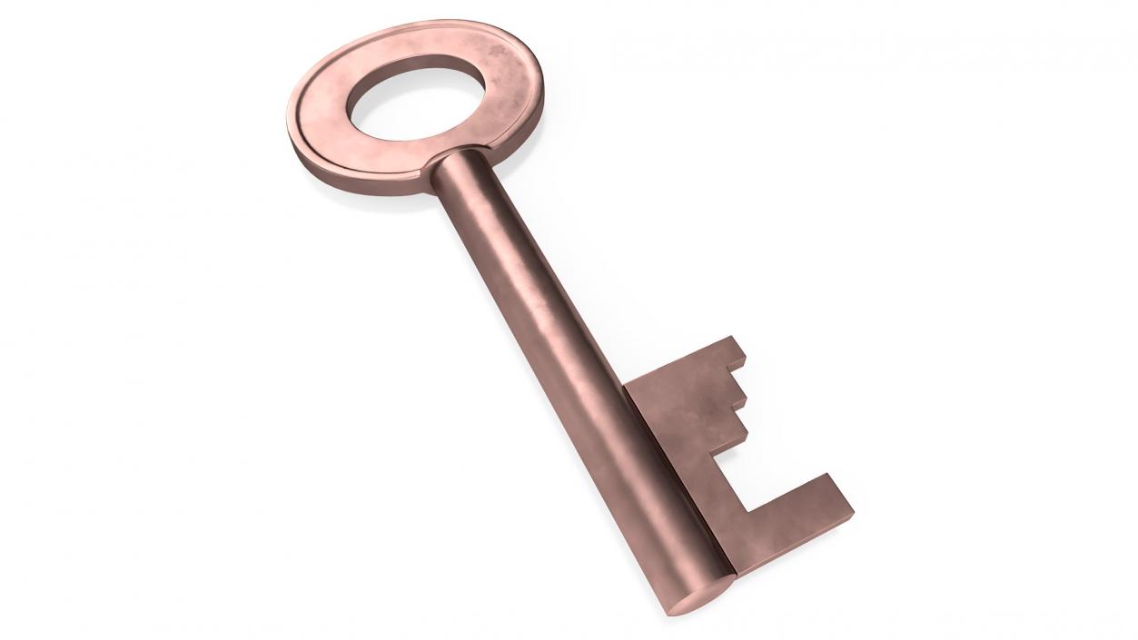 Bronze Key 2 3D