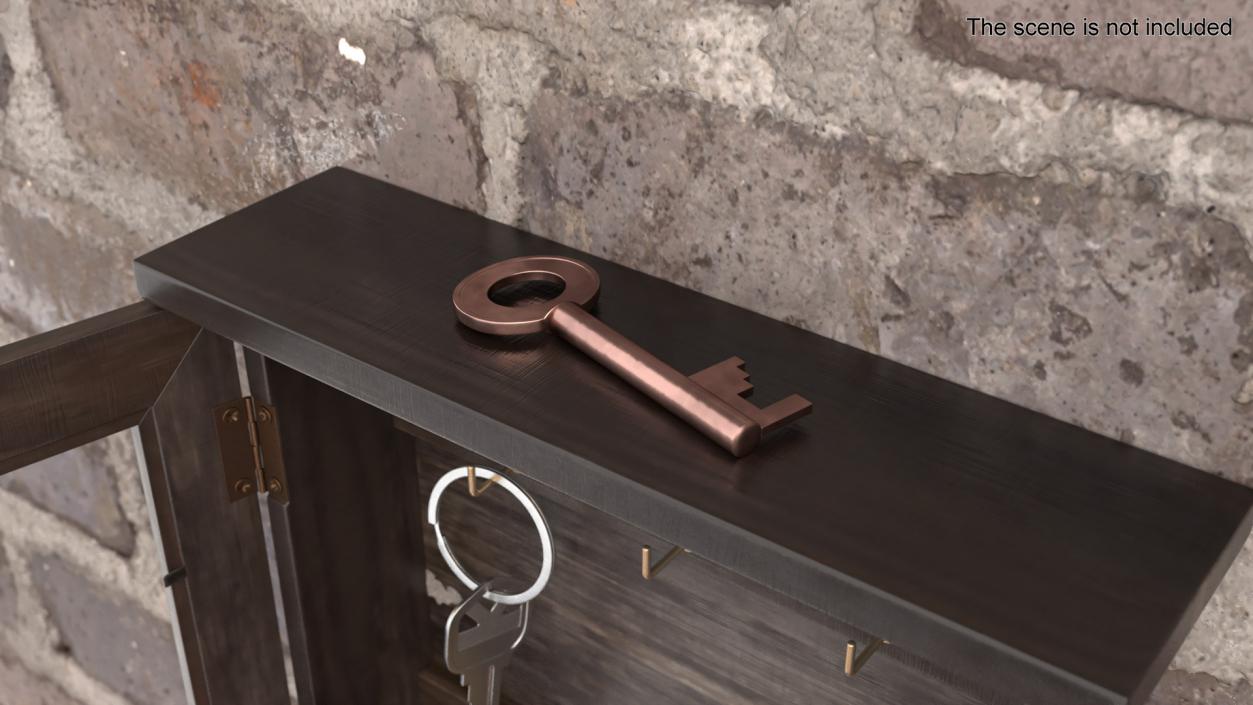 Bronze Key 2 3D