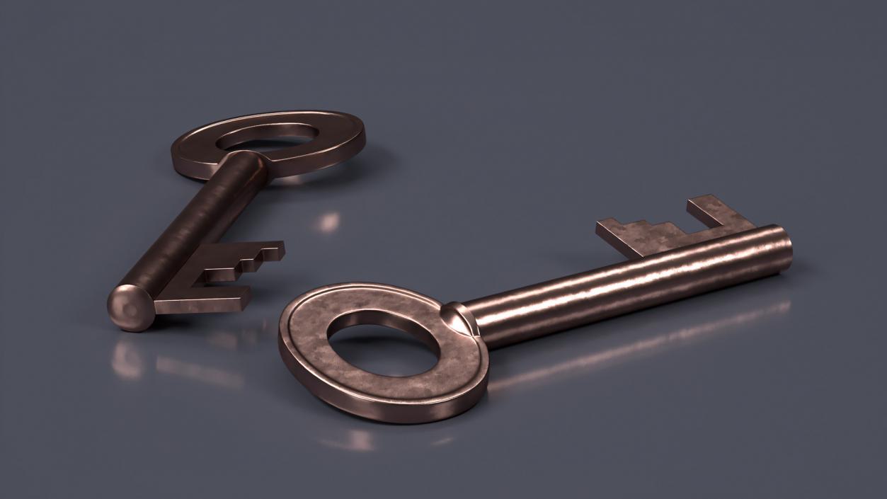 Bronze Key 2 3D