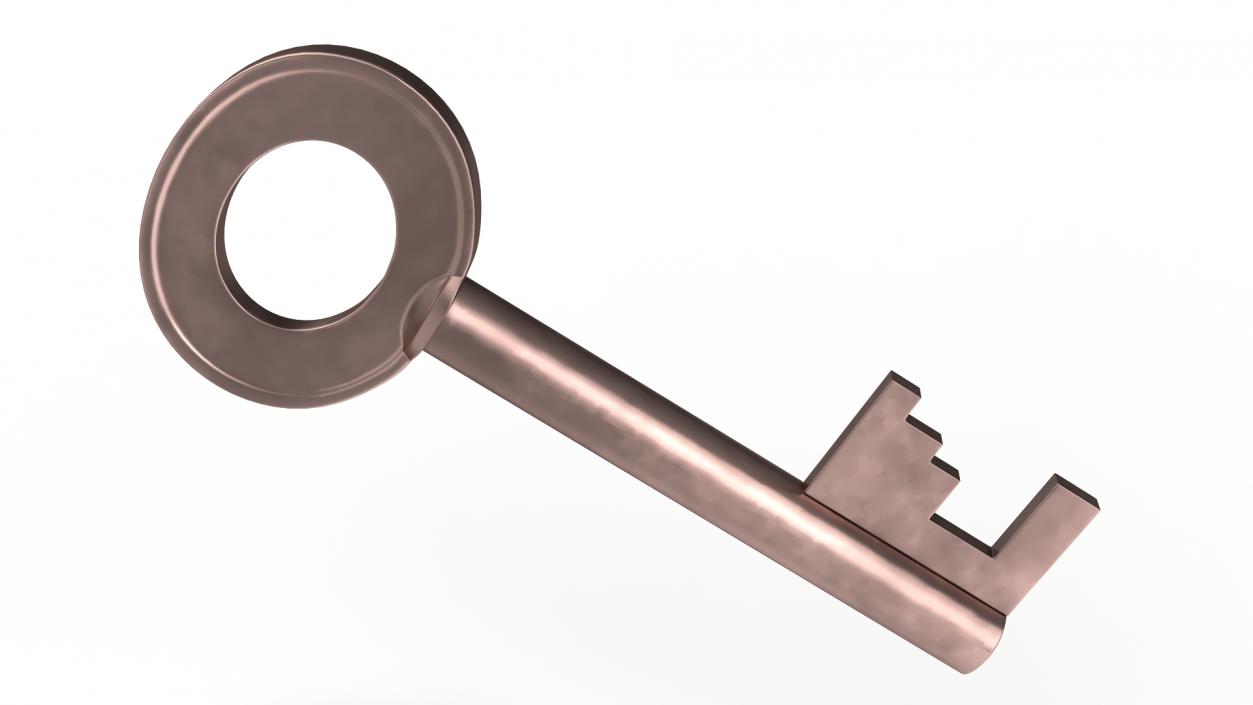 Bronze Key 2 3D