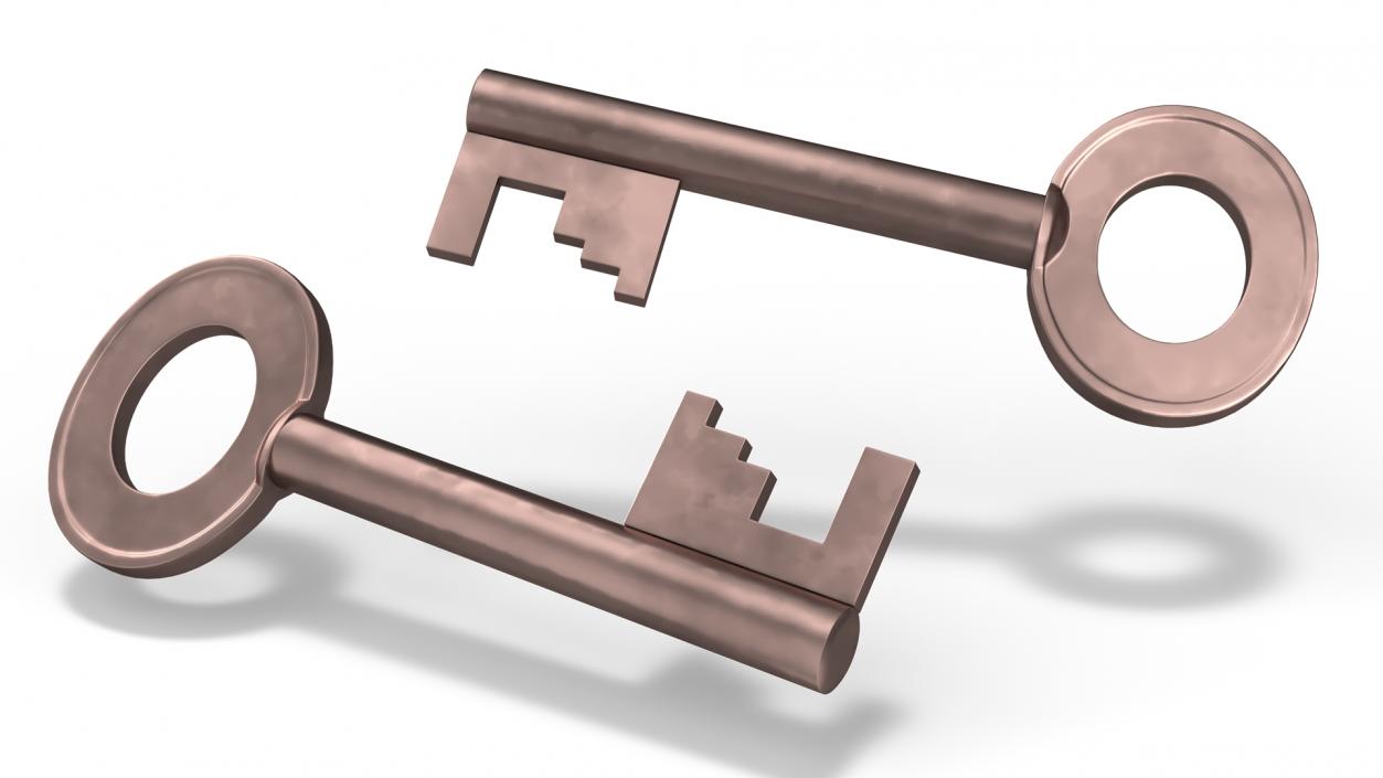 Bronze Key 2 3D