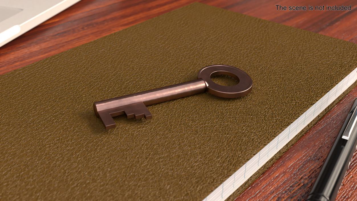 Bronze Key 2 3D