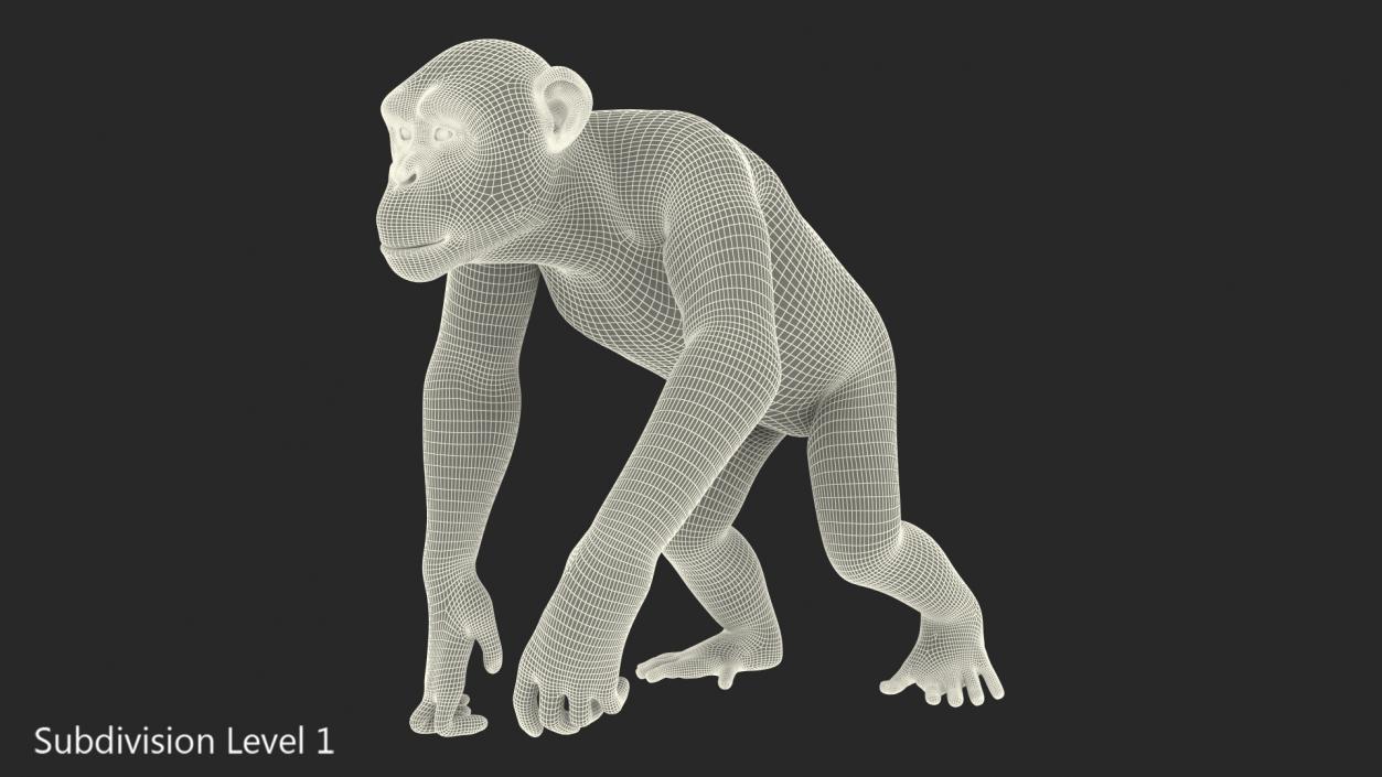 Dark Chimpanzee Walking Pose Fur 3D