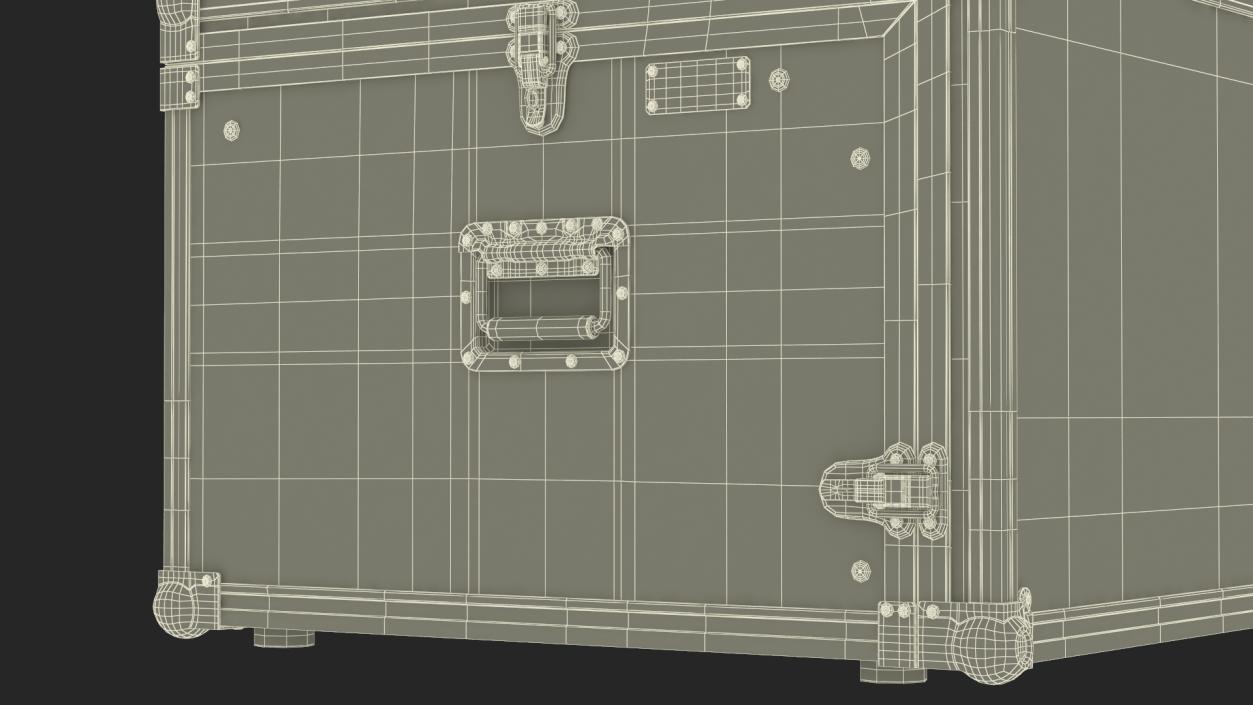 Heavy Duty DJ Road Case 35x48x48cm 3D model