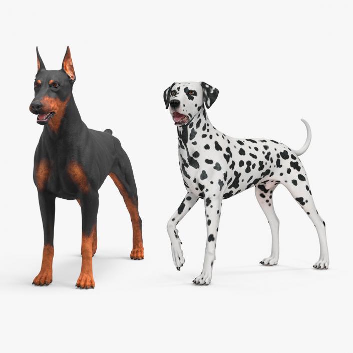 3D Dogs Collection 10 model