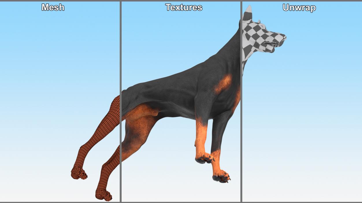 3D Dogs Collection 10 model