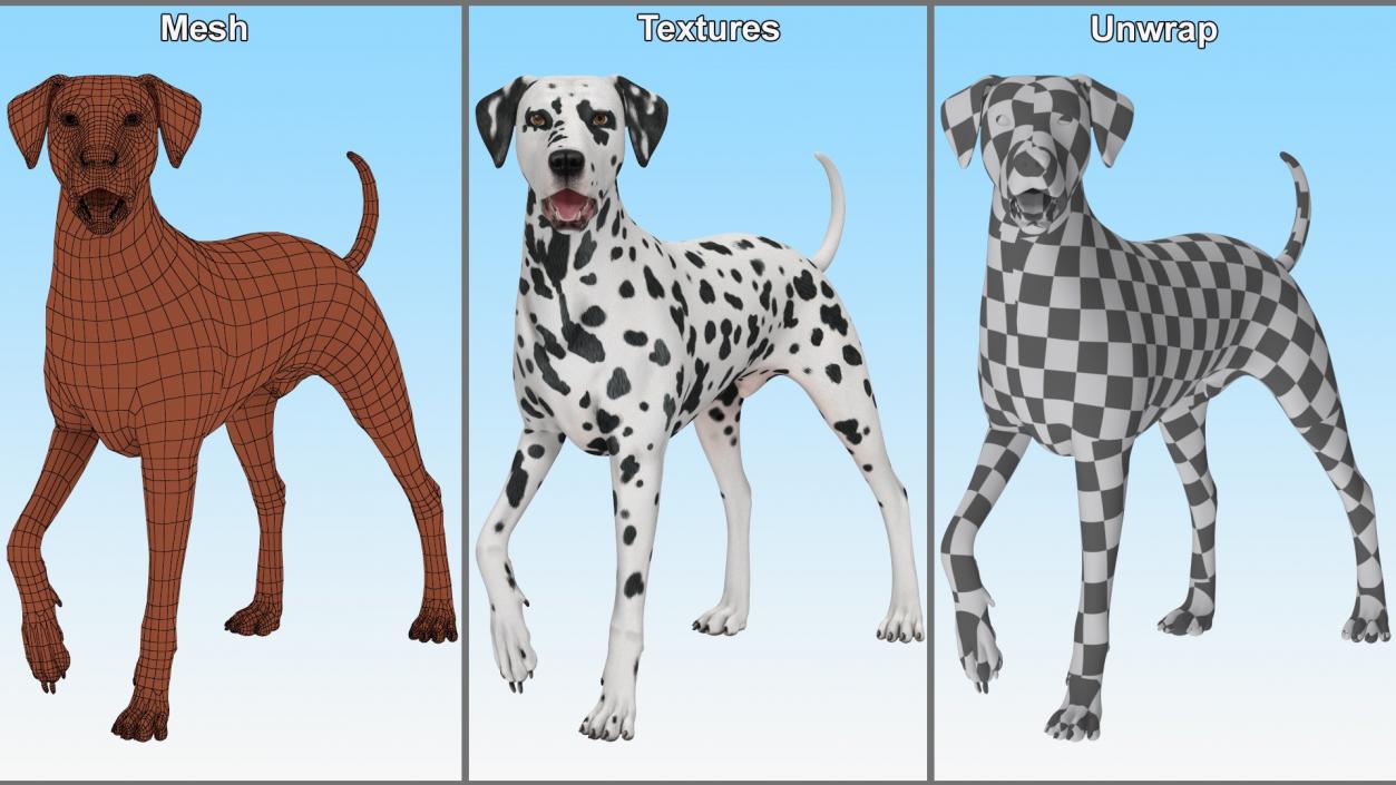 3D Dogs Collection 10 model