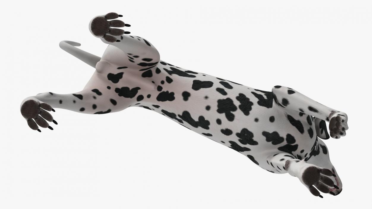 3D Dogs Collection 10 model