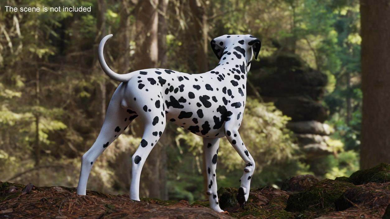 3D Dogs Collection 10 model