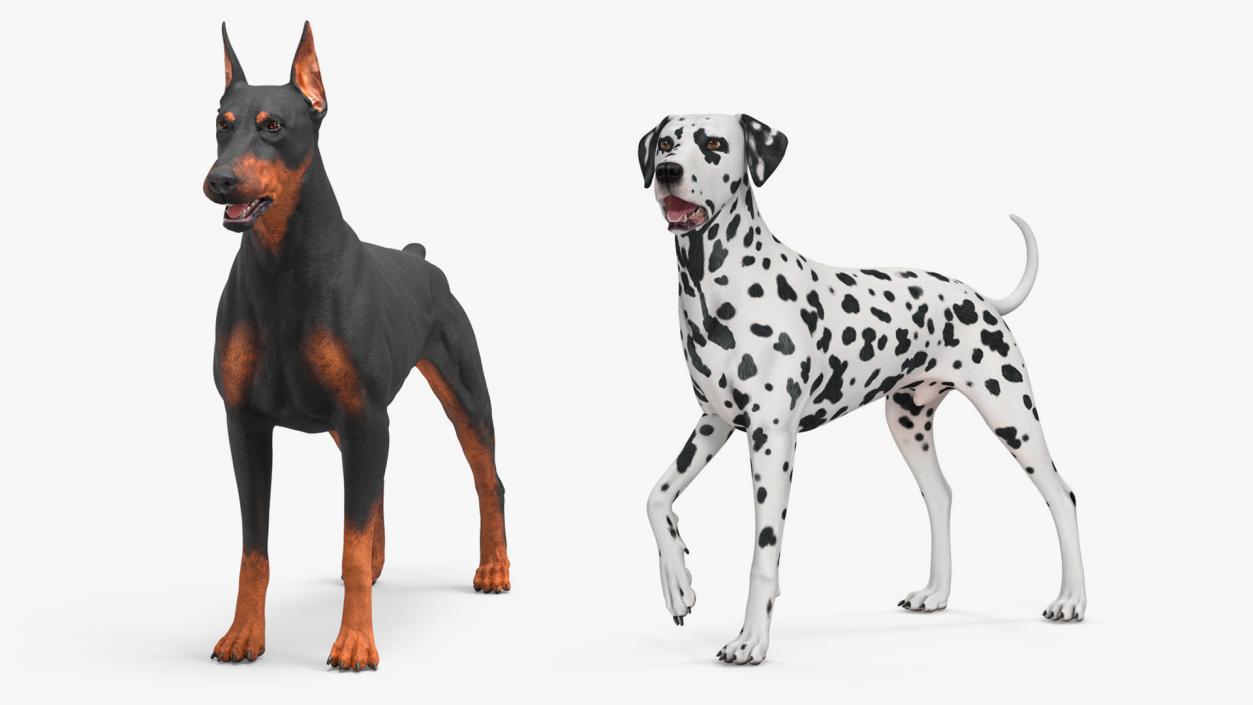 3D Dogs Collection 10 model