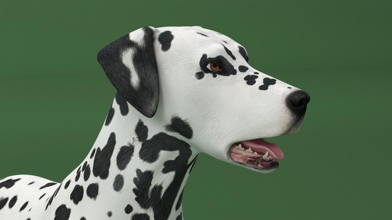 3D Dogs Collection 10 model