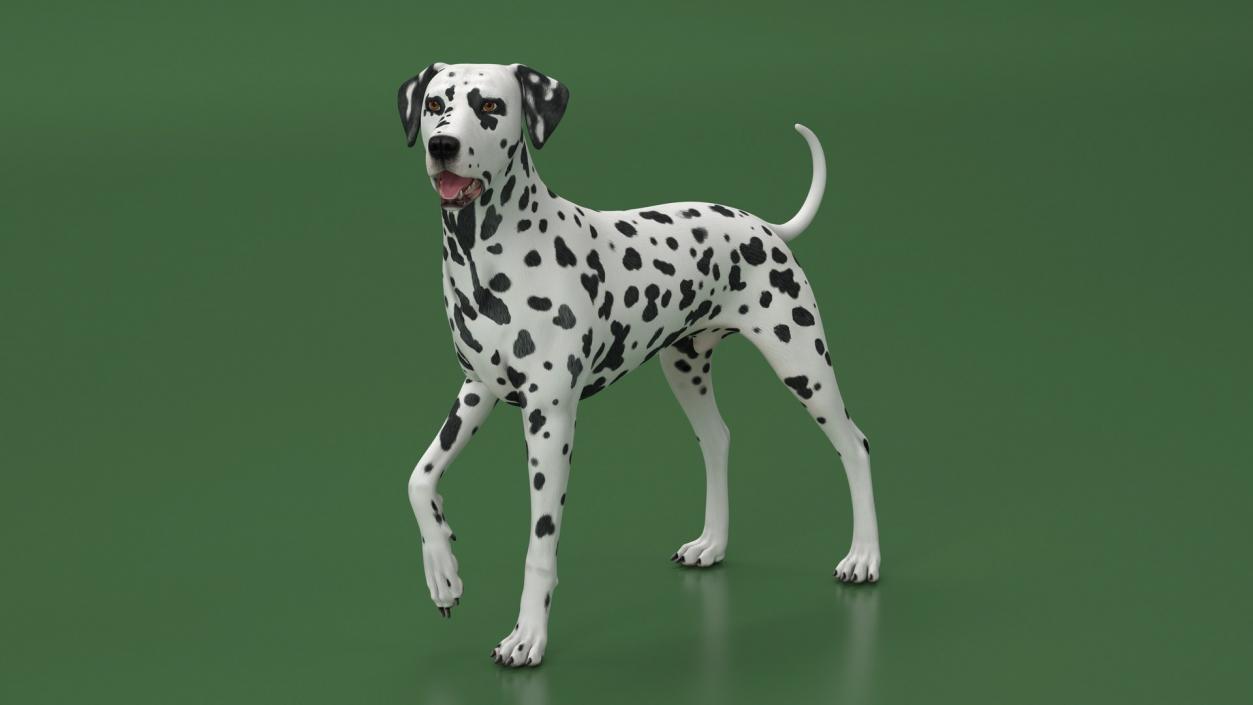 3D Dogs Collection 10 model