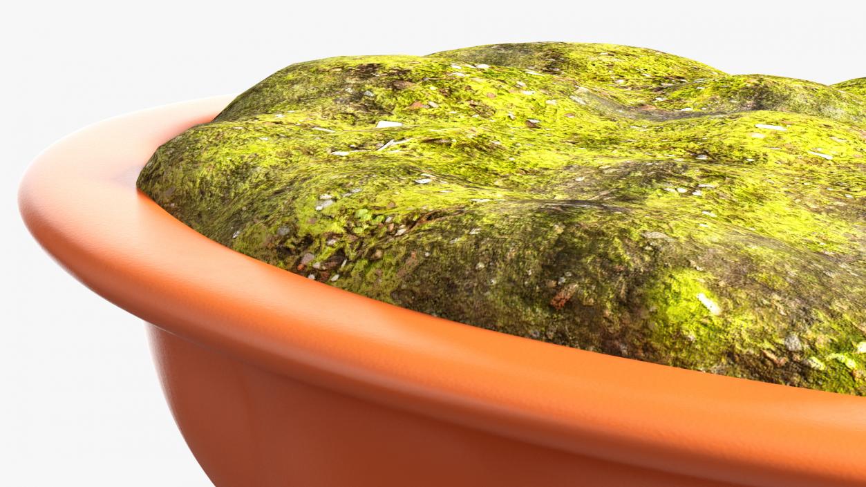 3D Wide Shallow Flower Pot with Soil model