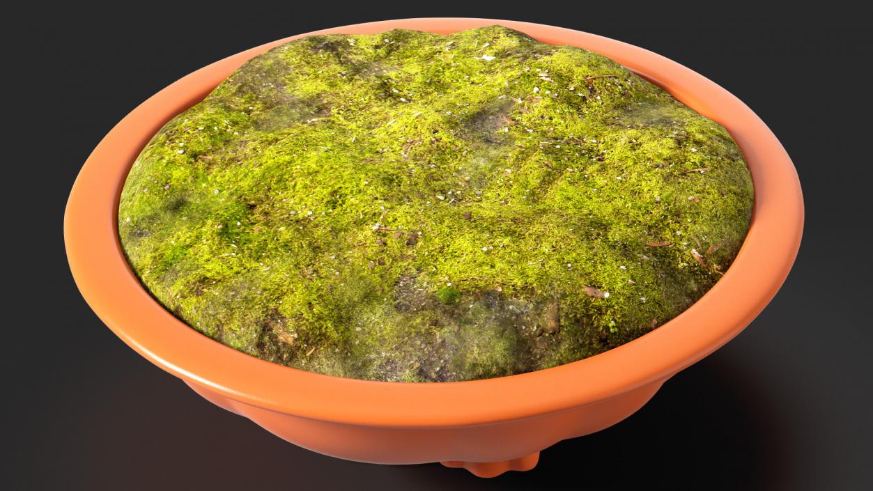 3D Wide Shallow Flower Pot with Soil model