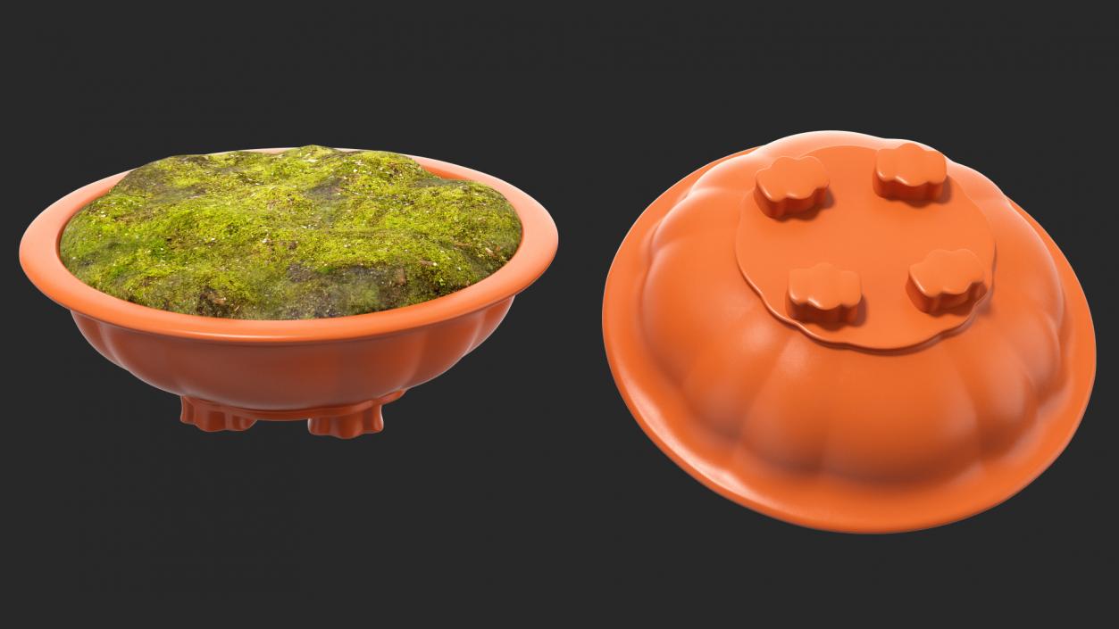 3D Wide Shallow Flower Pot with Soil model