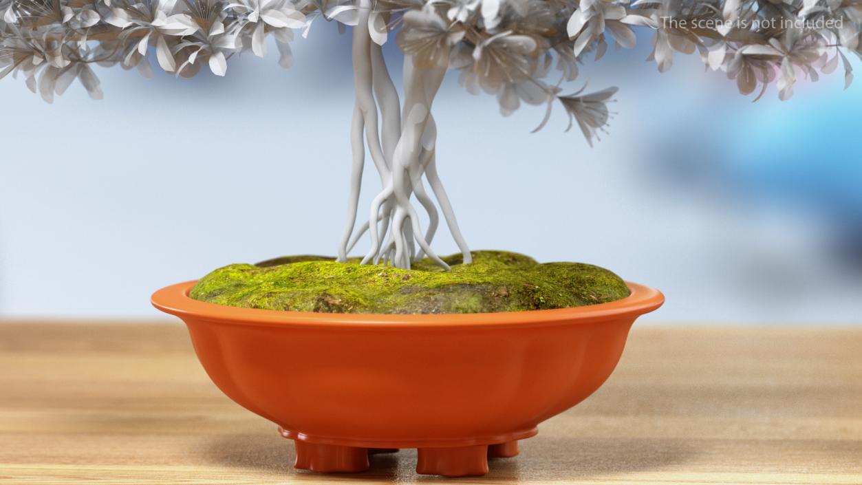 3D Wide Shallow Flower Pot with Soil model