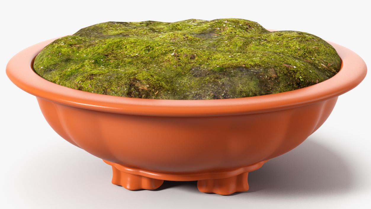 3D Wide Shallow Flower Pot with Soil model