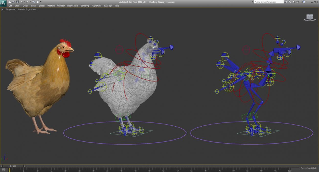 Chicken Rigged 3D model