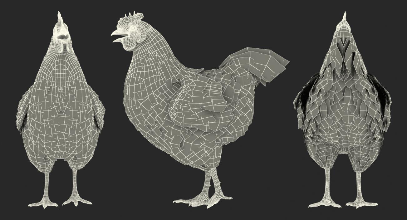 Chicken Rigged 3D model