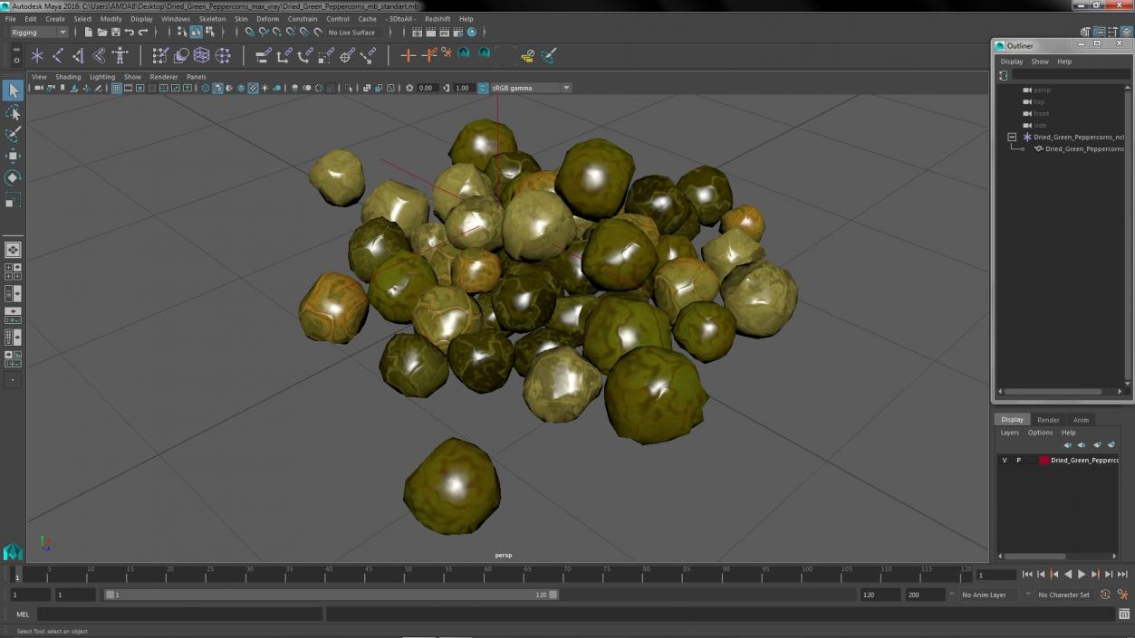 3D Dried Green Peppercorns model