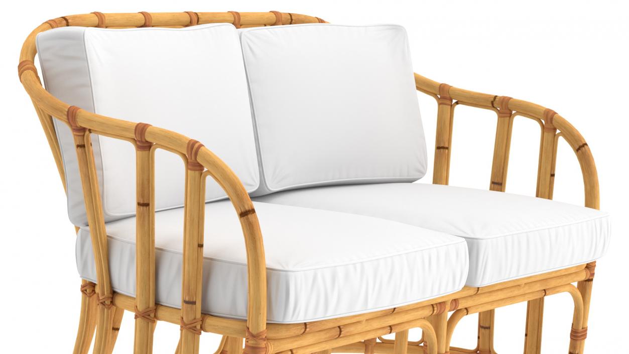 Bamboo Rattan Furniture  Collection 2 3D