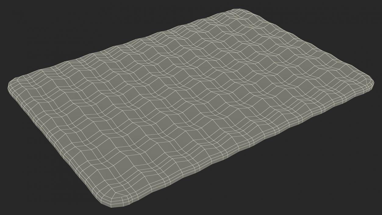 Sleeping Mattress Structure 3D