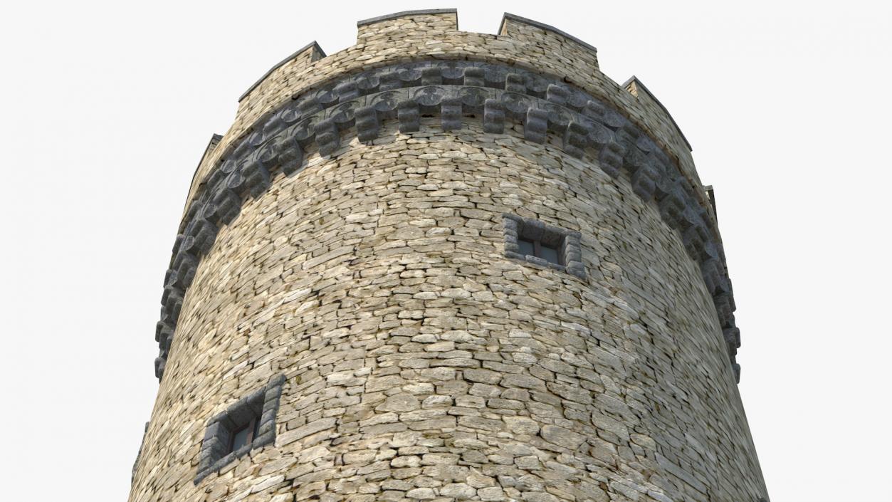 3D model Big Medieval Castle Tower