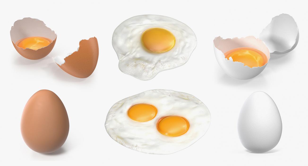 3D model Chicken Eggs Collection 2