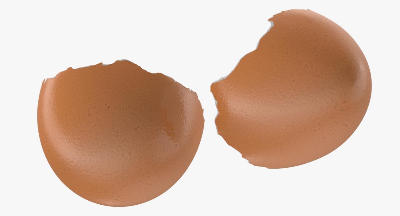 3D model Chicken Eggs Collection 2