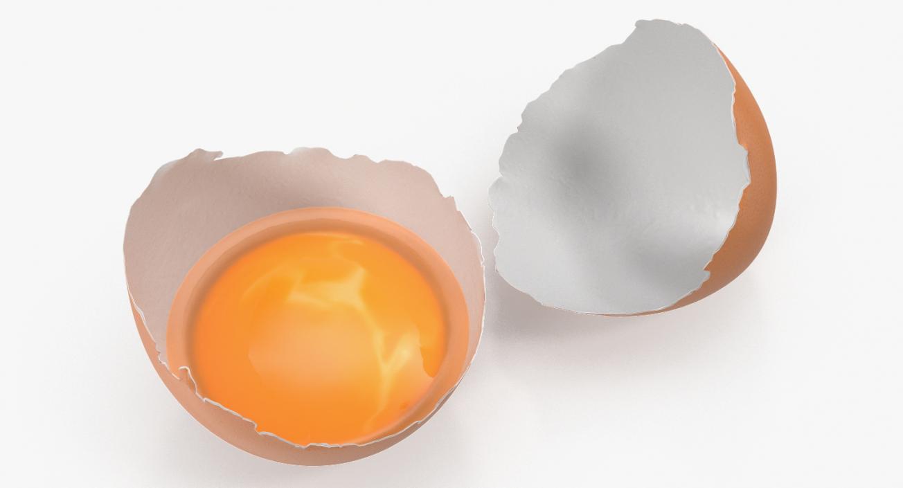 3D model Chicken Eggs Collection 2