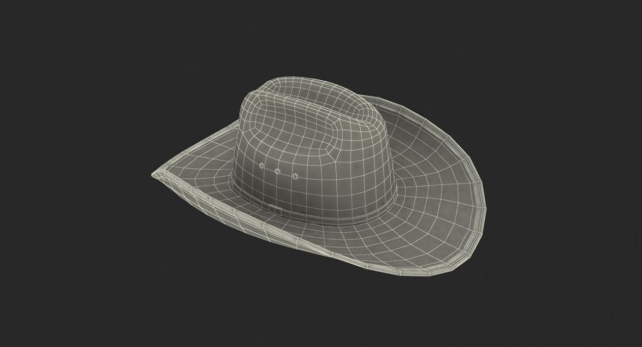 Hats 3D Models Collection 3 3D