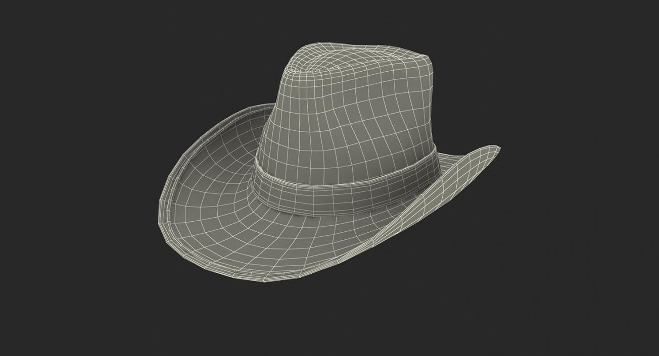 Hats 3D Models Collection 3 3D