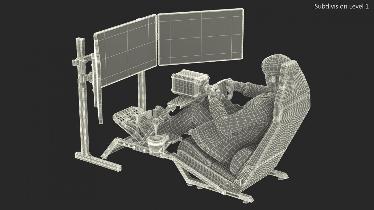 Young Man Racing in a Virtual Simulator 3D model