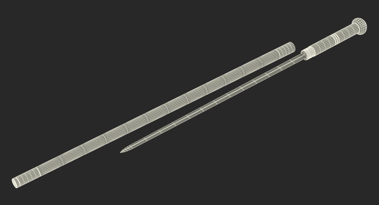 3D model Swordstick