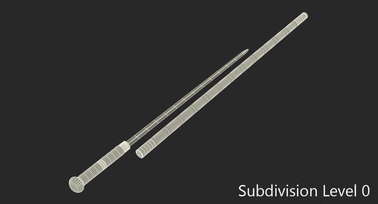 3D model Swordstick