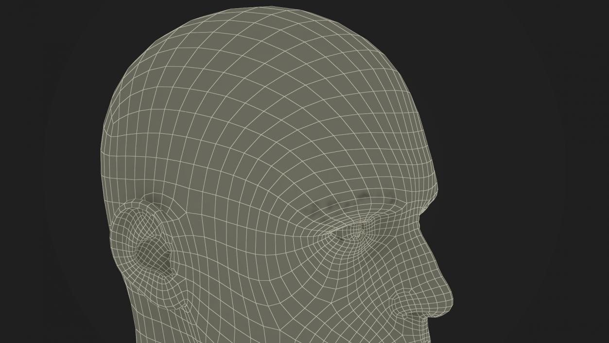 3D Male Head Fur model