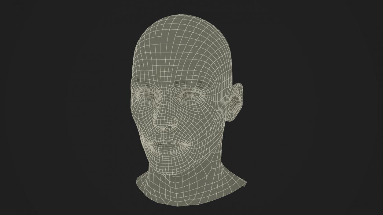 3D Male Head Fur model