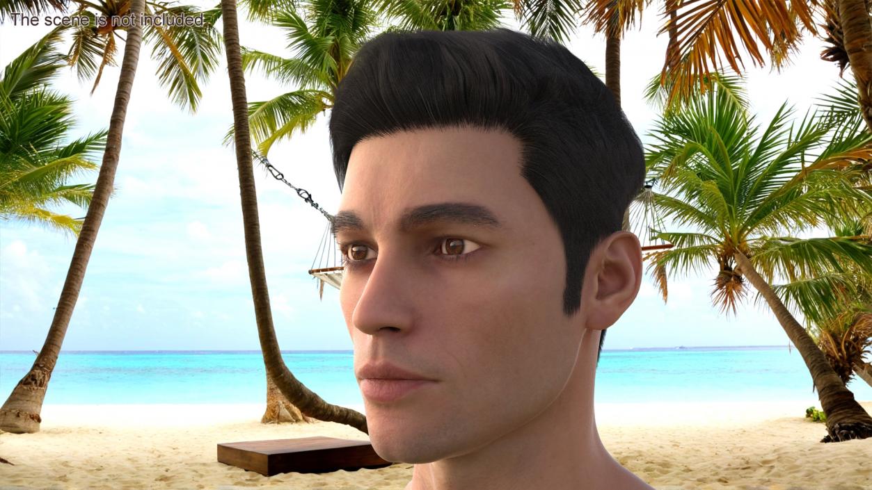 3D Male Head Fur model