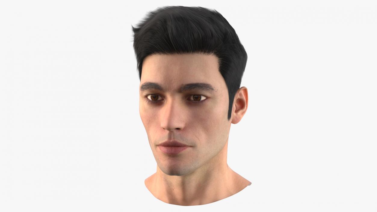 3D Male Head Fur model