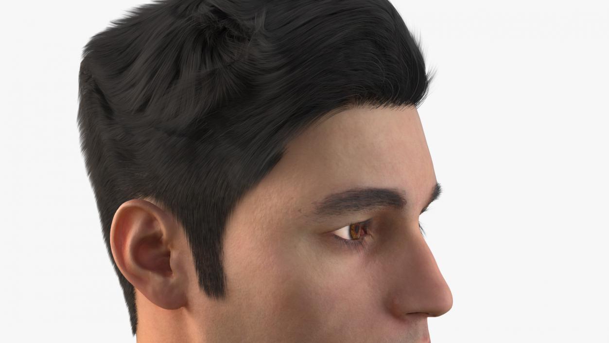 3D Male Head Fur model