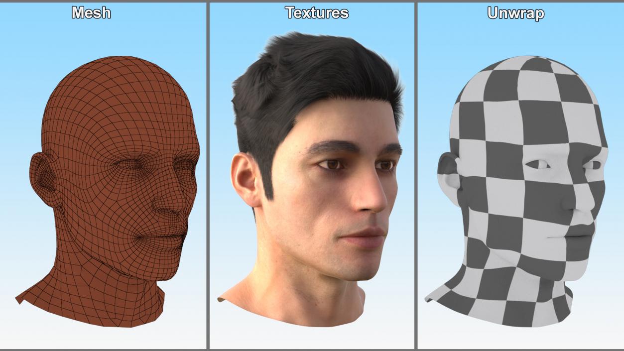 3D Male Head Fur model