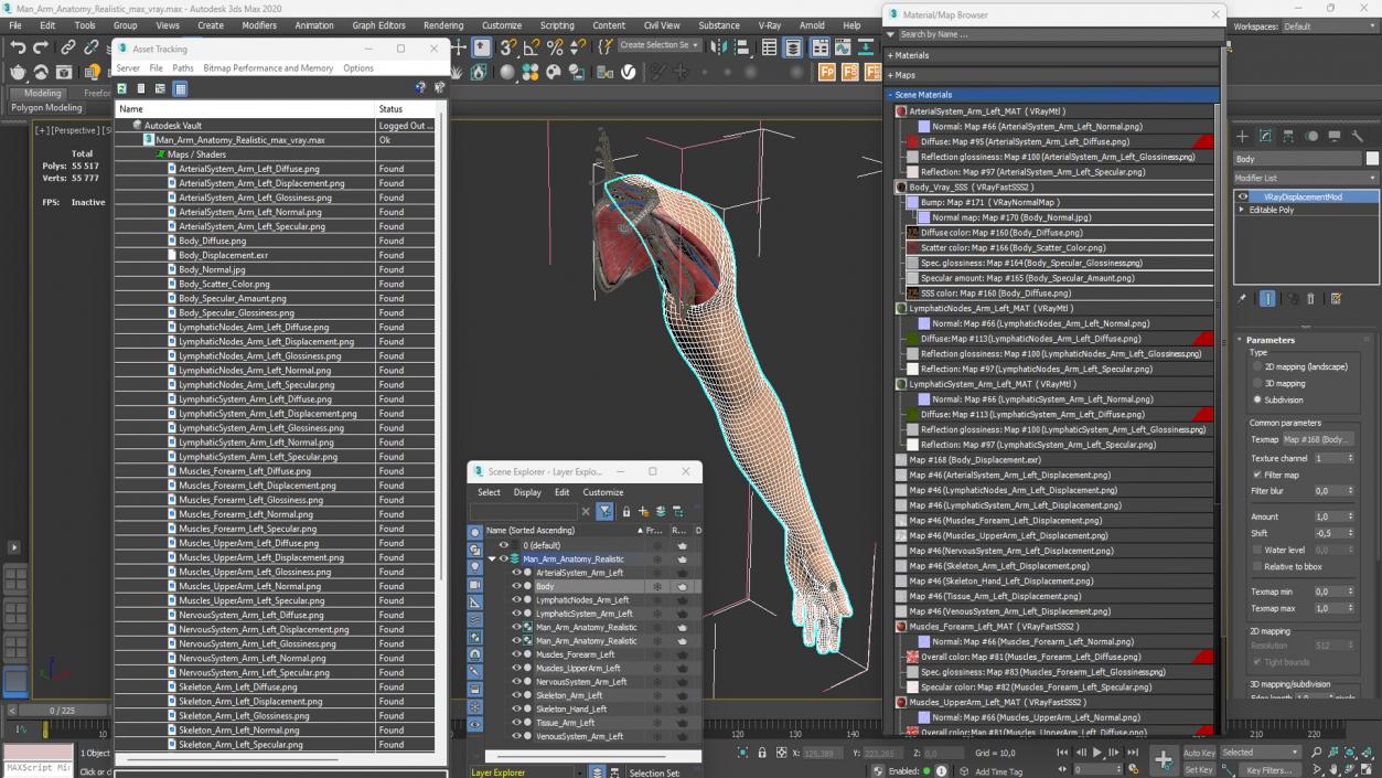 3D model Man Arm Anatomy Realistic