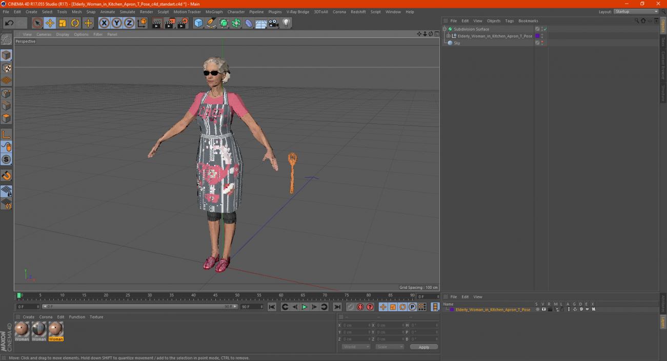 Elderly Woman in Kitchen Apron T Pose 3D