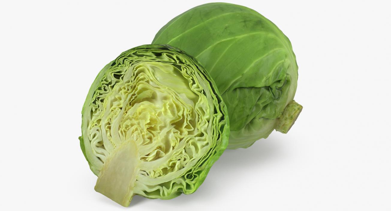 3D Cabbage Collection model